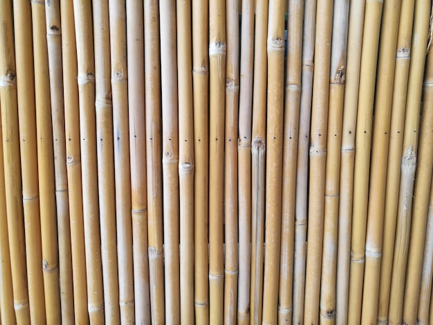 Vollbild von Bambus
