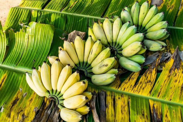 Foto vollbild von bananen und blättern auf dem markt