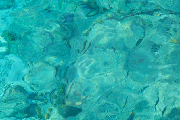 Foto vollbild von einem schwimmbad