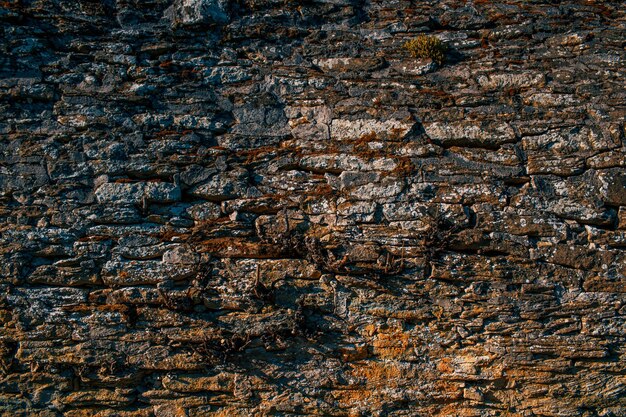 Foto vollbild von einer verwitterten wand