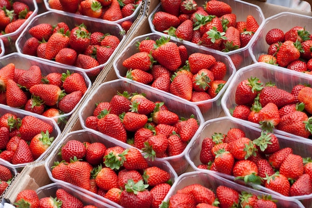 Vollbild von Erdbeeren in Behältern zum Verkauf auf einem Marktstand