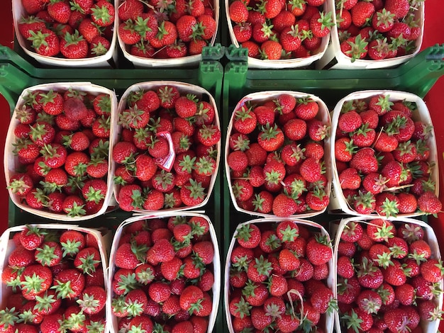 Vollbild von Erdbeeren in Kisten auf dem Markt
