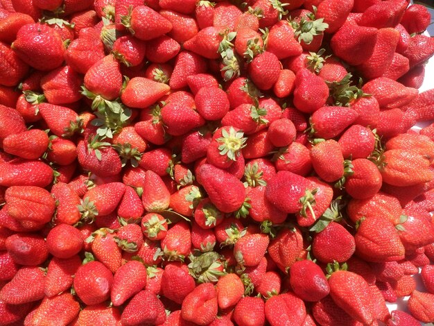 Foto vollbild von erdbeeren