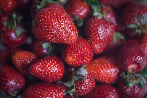 Vollbild von Erdbeeren