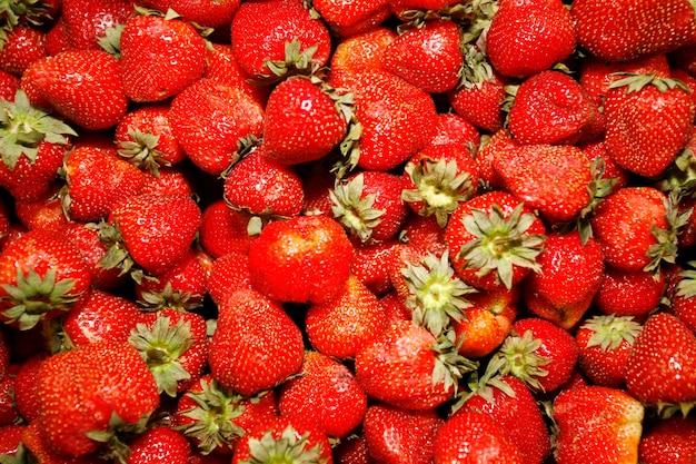 Foto vollbild von erdbeeren