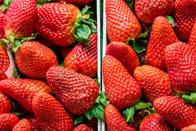 Foto vollbild von erdbeeren