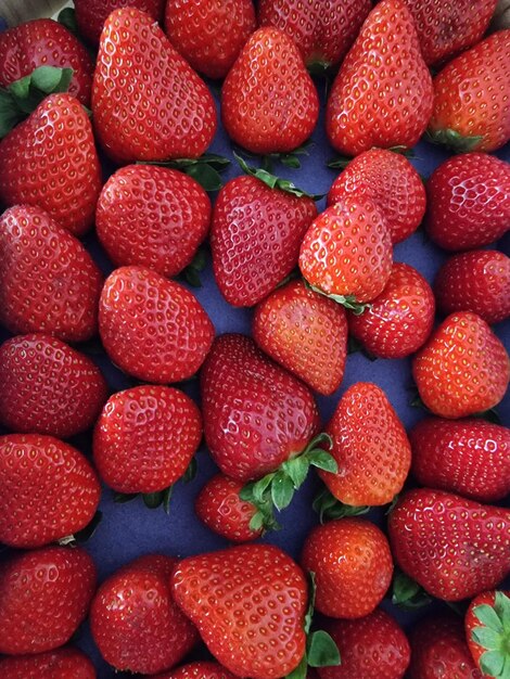 Foto vollbild von erdbeeren