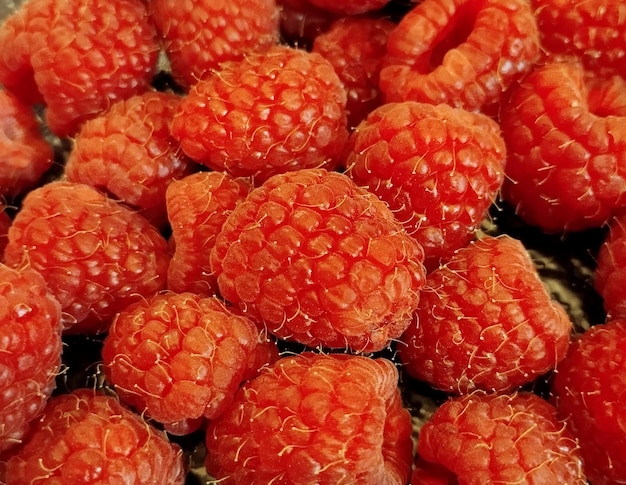 Vollbild von Erdbeeren