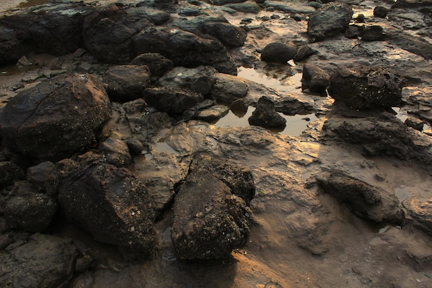 Vollbild von Felsen am Strand