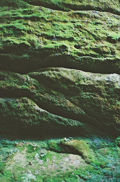 Foto vollbild von felsen im wasser