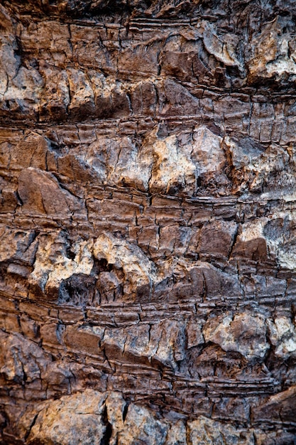 Vollbild von Felsen