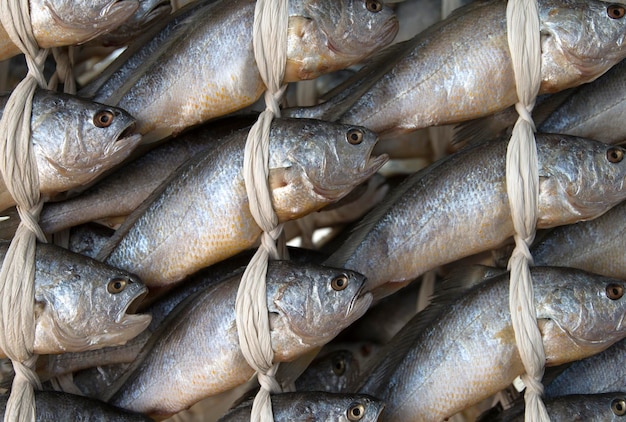 Vollbild von Fisch zum Verkauf auf dem Markt.