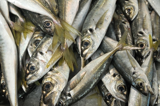 Vollbild von frischen Fischen zum Verkauf auf dem Markt