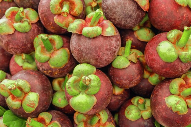 Foto vollbild von früchten auf dem markt