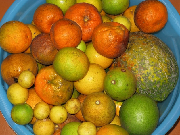 Foto vollbild von früchten
