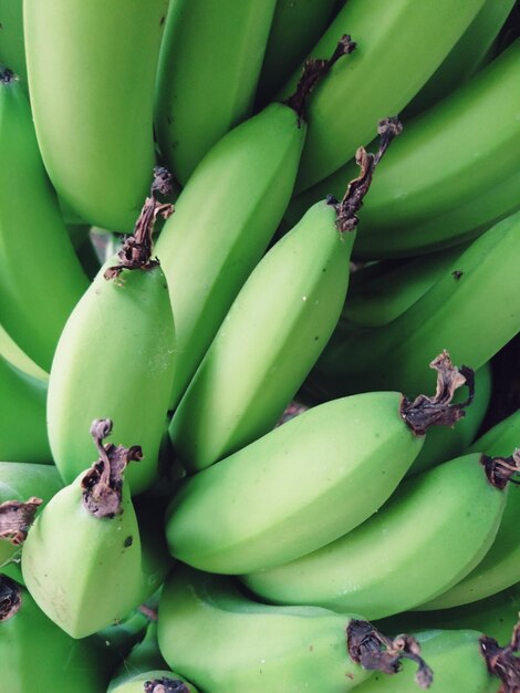 Foto vollbild von früchten