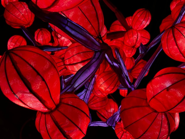 Vollbild von gelber Blume