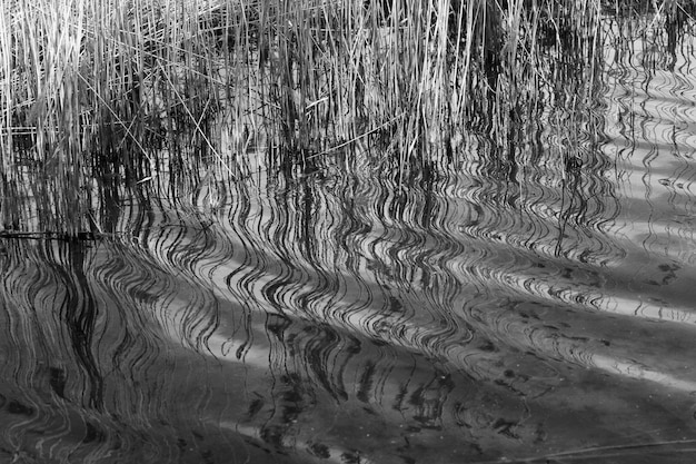 Vollbild von gewelltem Wasser