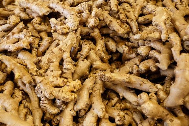 Vollbild von Ginger zum Verkauf auf dem Marktstand