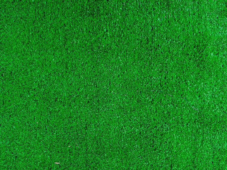 Foto vollbild von grünem gras