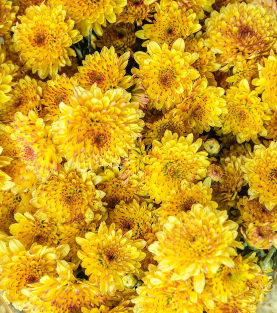 Vollbild von Marigolds zum Verkauf auf dem Markt