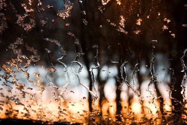 Foto vollbild von nassen bäumen während der regenzeit