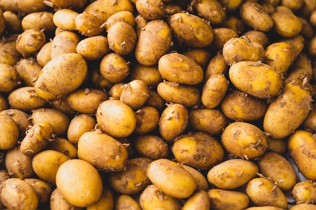 Vollbild von neuen Kartoffeln
