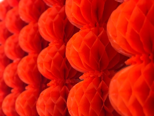 Vollbild von Orangenblüte