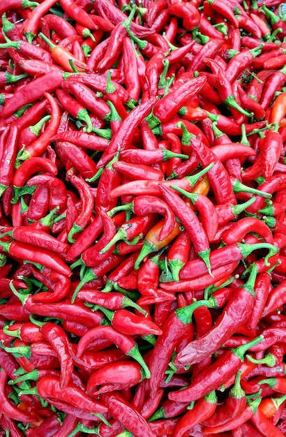 Vollbild von roten Chilischoten zum Verkauf auf dem Markt