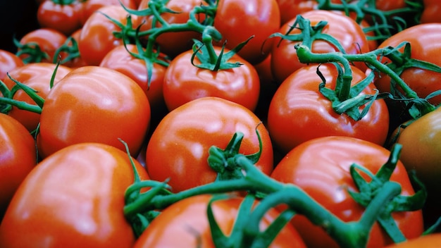 Vollbild von Tomaten zum Verkauf auf einem Marktstand