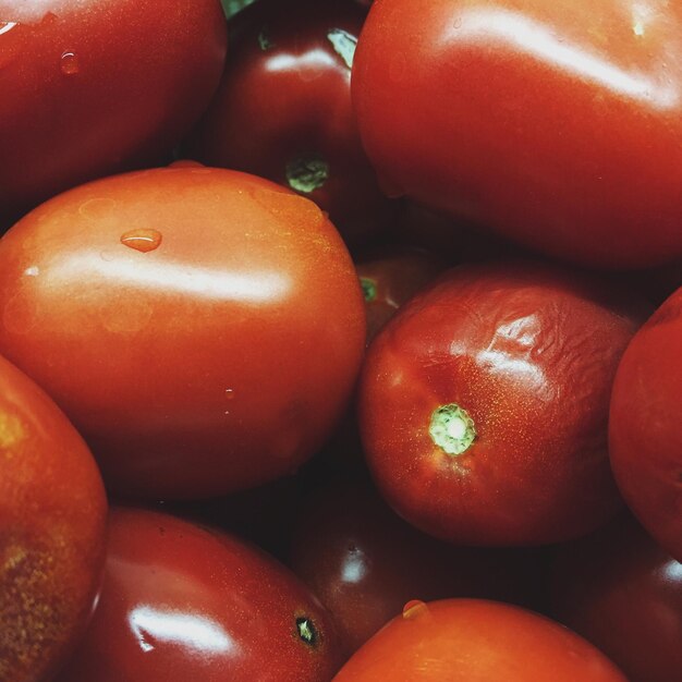 Foto vollbild von tomaten