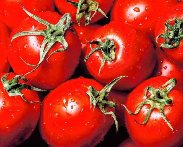 Foto vollbild von tomaten