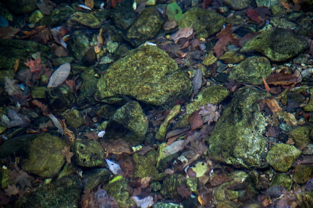 Foto vollbild von wasser im talstrom