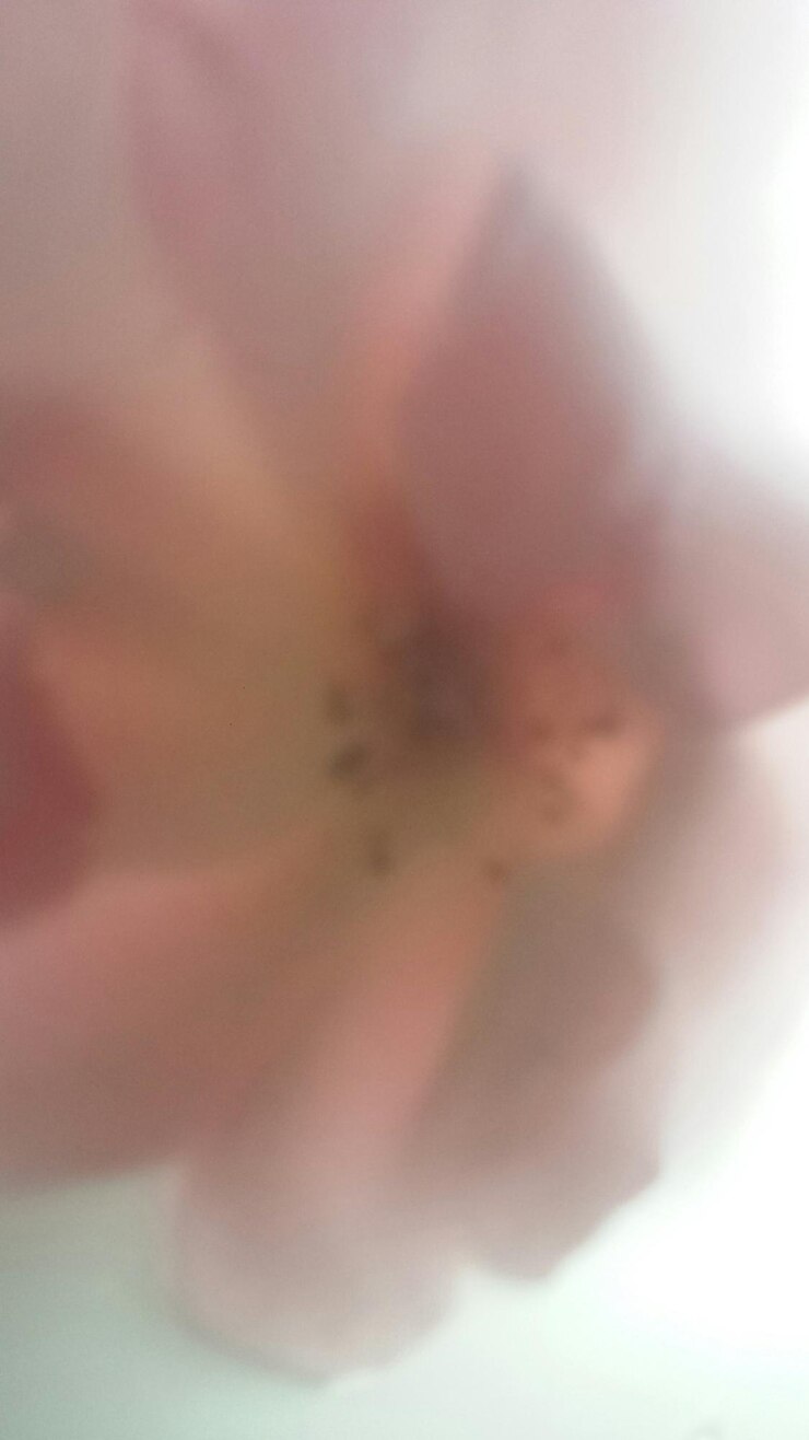 Foto vollbild von wasser
