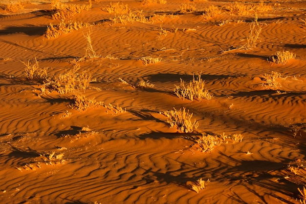 Vollbildaufnahme der Sanddünen