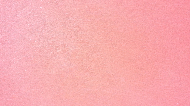 Vollbildpapier-Aufnahme