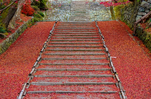 Volle gefallene rote Ahornblätter auf alter Treppe zum japanischen Tempel auf Herbstsaison.