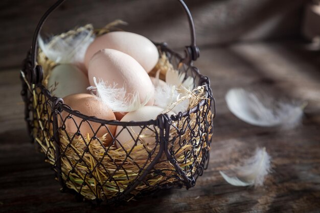 Voller Vitamine und ökologischer Eier mit Hühnerfedern