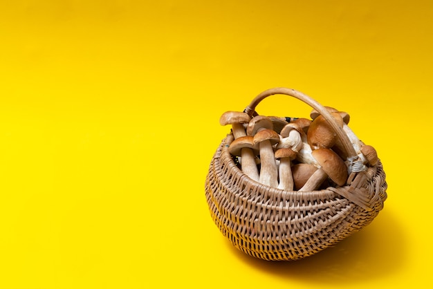 Foto voller weidenkorb mit steinpilzen auf gelbem hintergrund