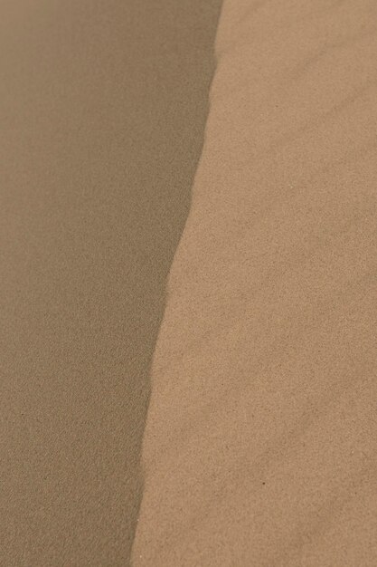 Foto vollformat-aufnahme der sanddune