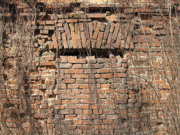 Foto vollformat-aufnahme einer ziegelsteinmauer