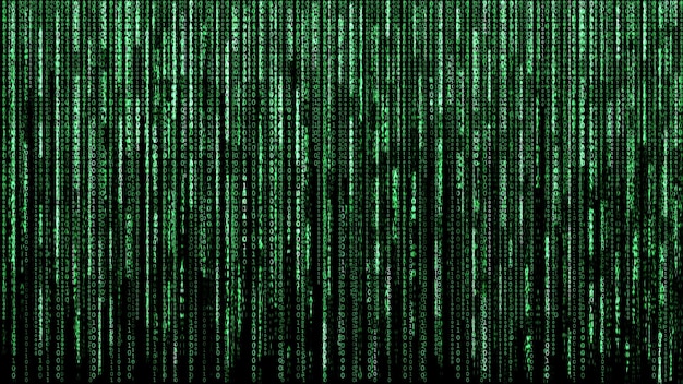 Vollformat-Aufnahme von Binärcodes