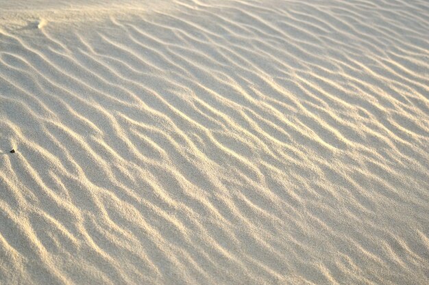 Foto vollformat-bild des strandes