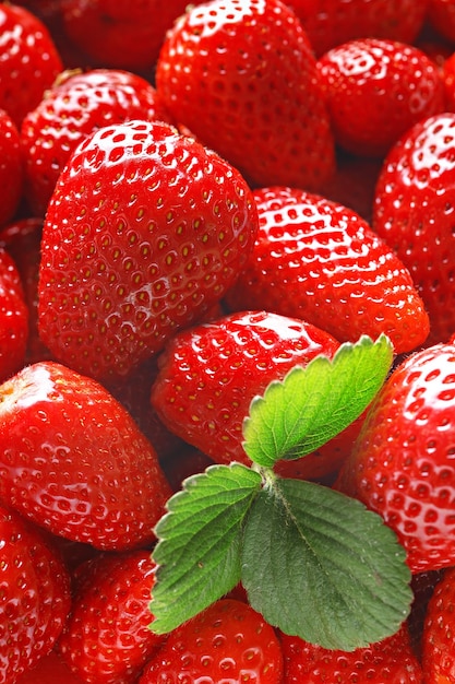 Vollformat-Bild von Erdbeeren