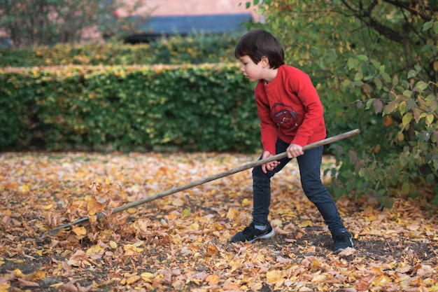 Foto volllänge von jungen, die blätter an land reinigen