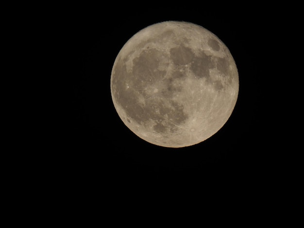 Vollmond im Teleskop