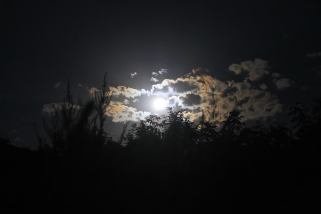 Vollmond scheint durch die Wolken und Bäume