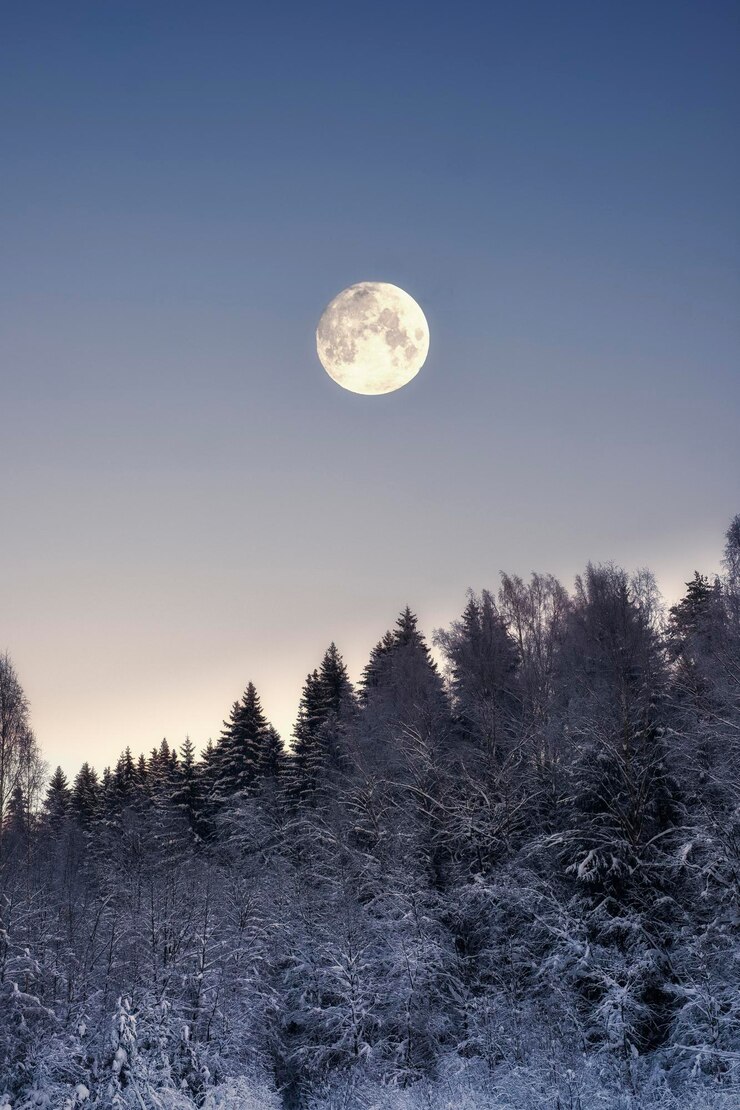 Foto vollmond über verschneiter winterwaldnacht