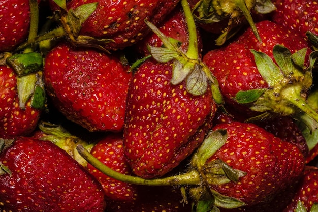 Vollrahmen mit Erdbeeren