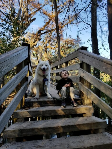 Foto vollständiger junge mit hund sitzt auf stufen im wald